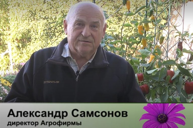 дачные советы от 26.09.2024