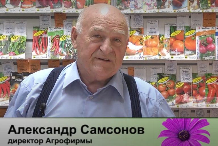 дачные советы от 21.11.2024
