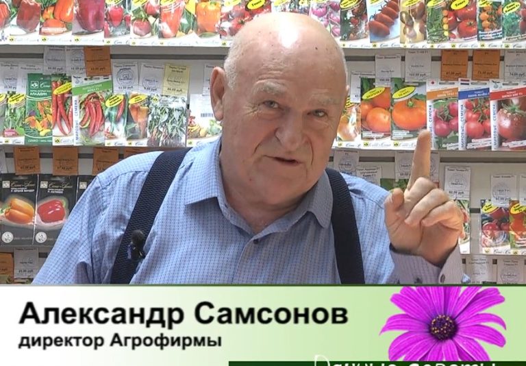 дачные советы от 05.12.2024