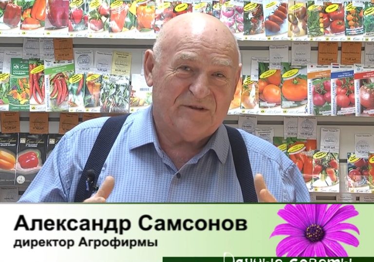дачные советы от 12.12.2024