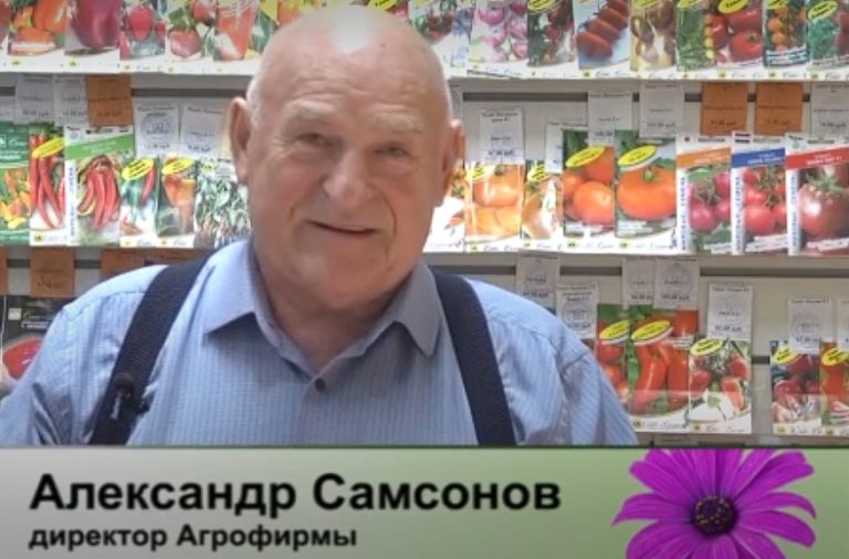 дачные советы от 19.12.2024