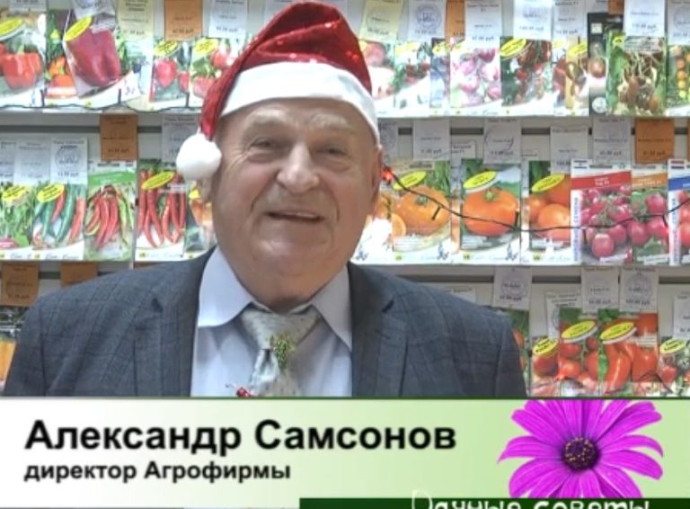 дачные советы от 26.12.2024