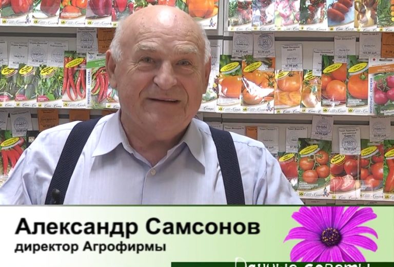 дачные советы от 28.11.2024