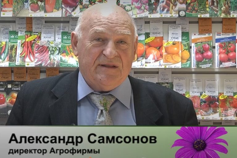 дачные советы от 16.01.2025