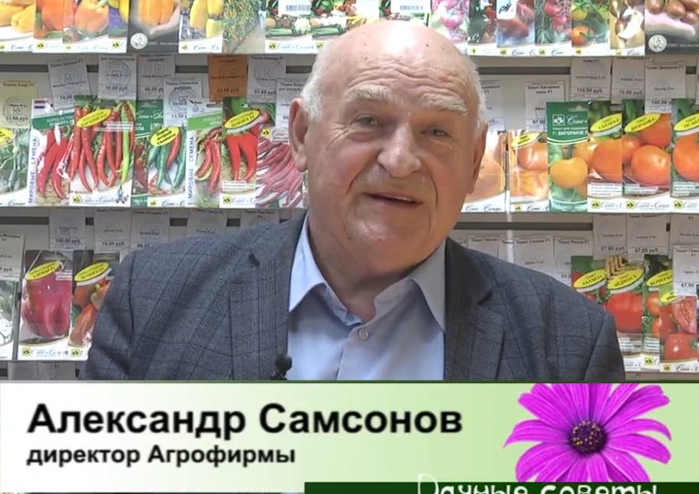 дачные советы от 23.01.2025