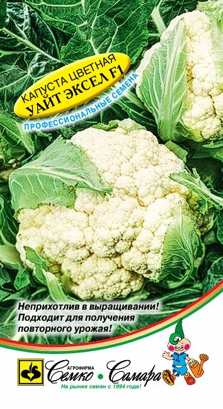 Капуста цветная Уайт Эксел