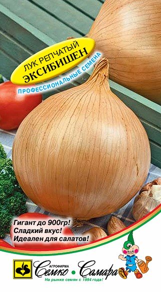 Лук репчатый Эксибишен