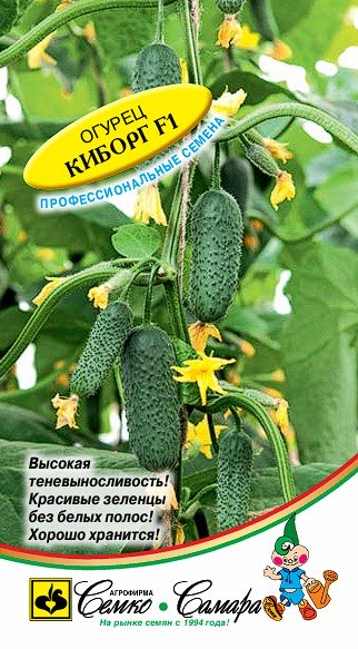 Огурец Киборг