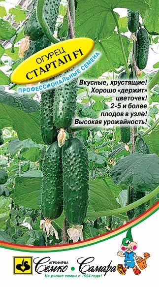 Огурец Стартап