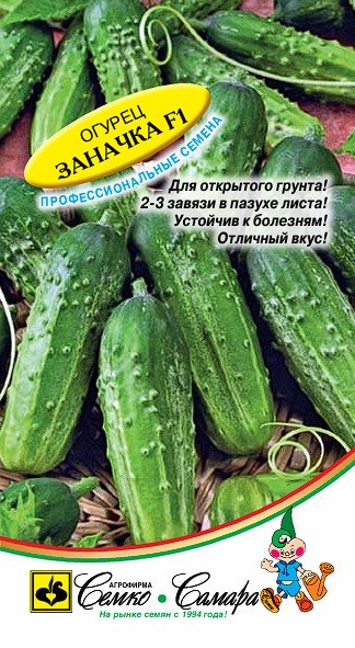 Огурец Заначка