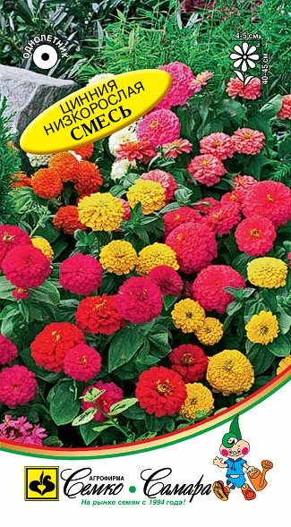Цинния низкорослая смесь