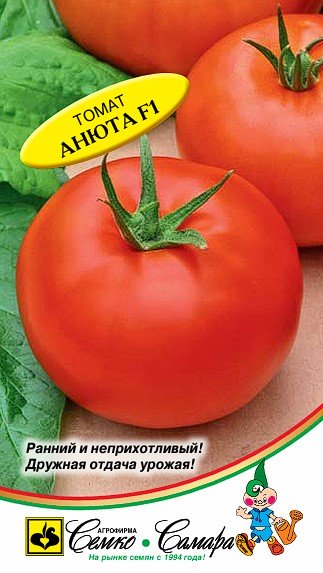Томат Анюта