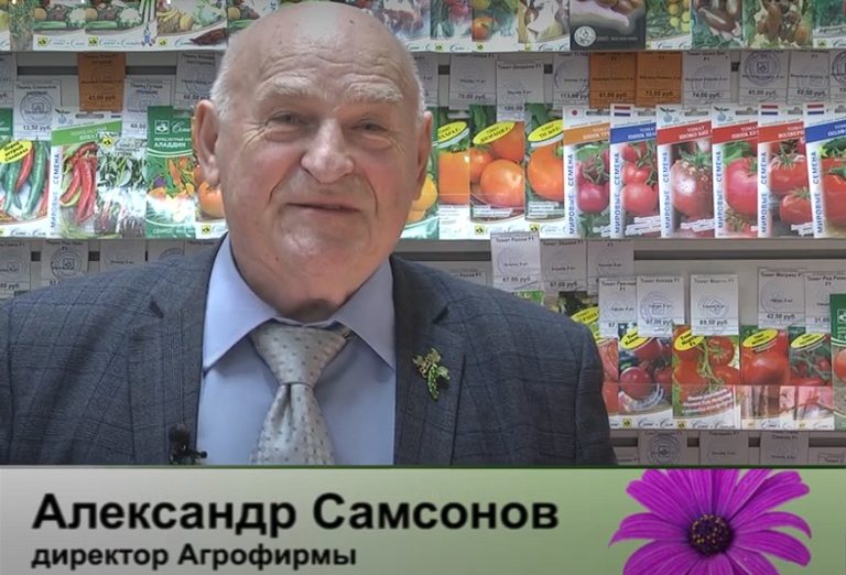 дачные советы от 06.02.2025