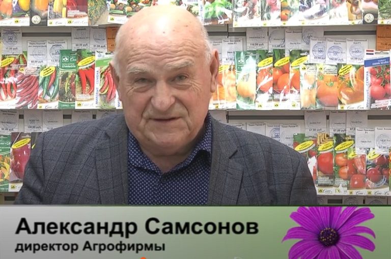 дачные советы от 20.02.2025