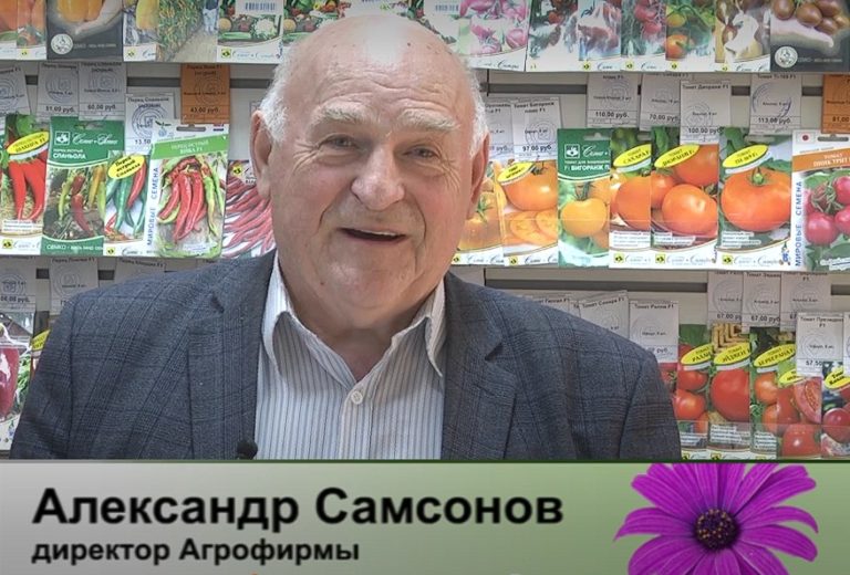 дачные советы от 30.01.2025