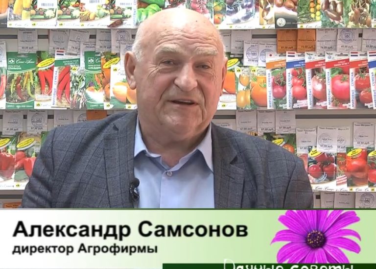 дачные советы от 13.02.2025