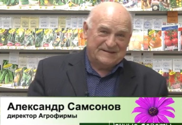 дачные советы от 06.04.2025