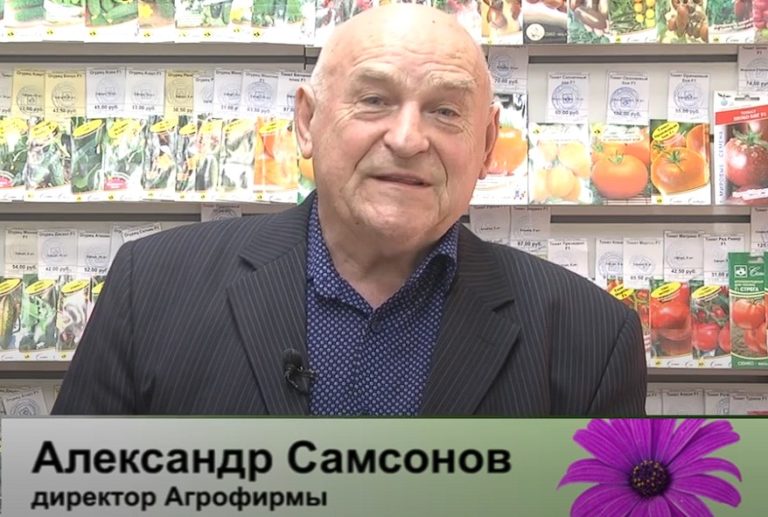 дачные советы от 13.04.2025