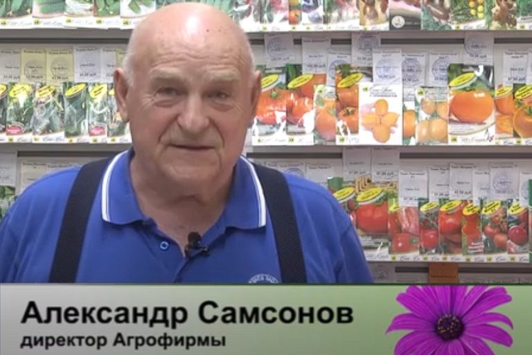 дачные советы от 20.04.2025