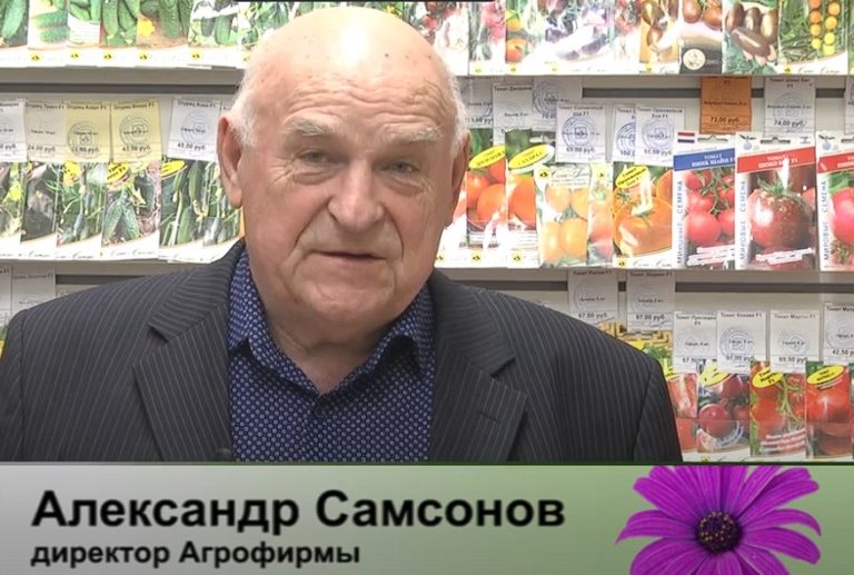 дачные советы от 27.03.2025