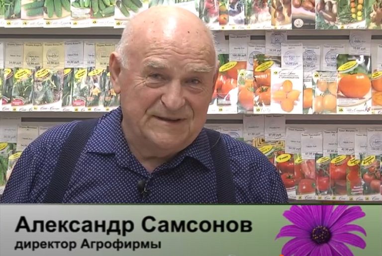 дачные советы от 03.04.2025
