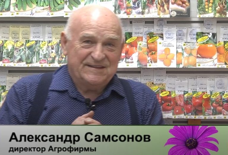 дачные советы от 10.04.2025