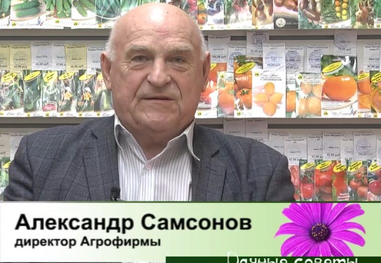 дачные советы от 27.03.2025