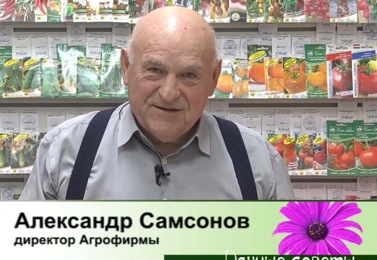 дачные советы от 01.05.2025