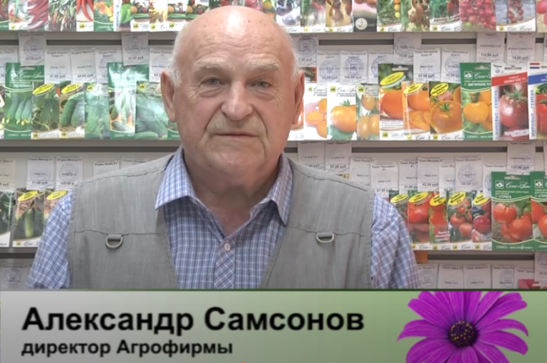 дачные советы от 08.05.2025