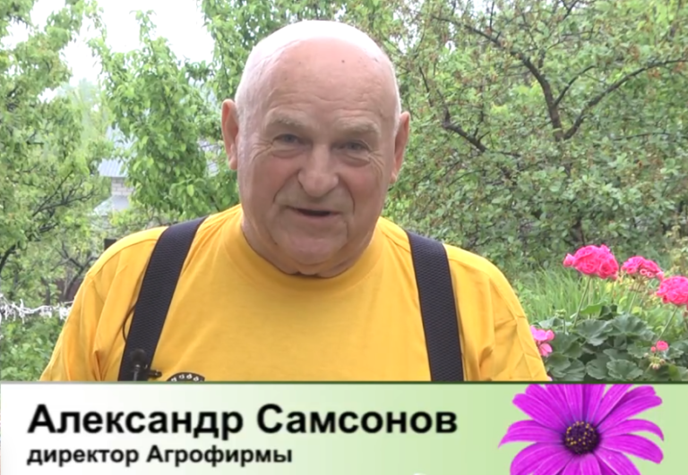 дачные советы от 15.05.2025