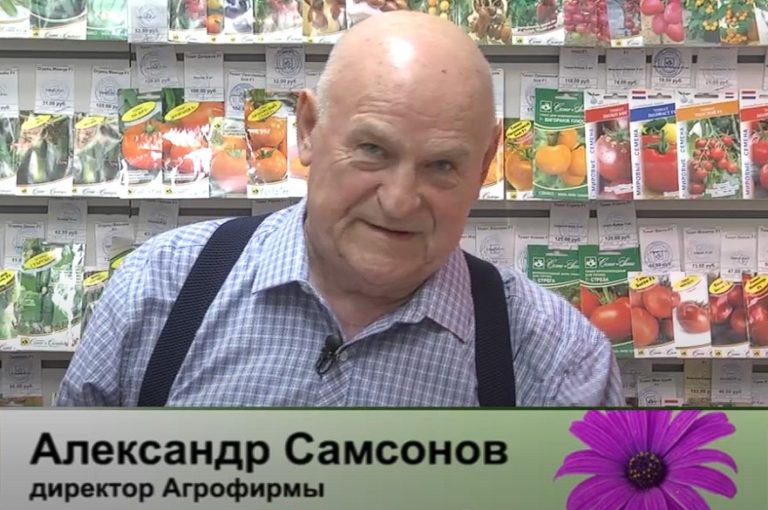 дачные советы от 17.04.2025