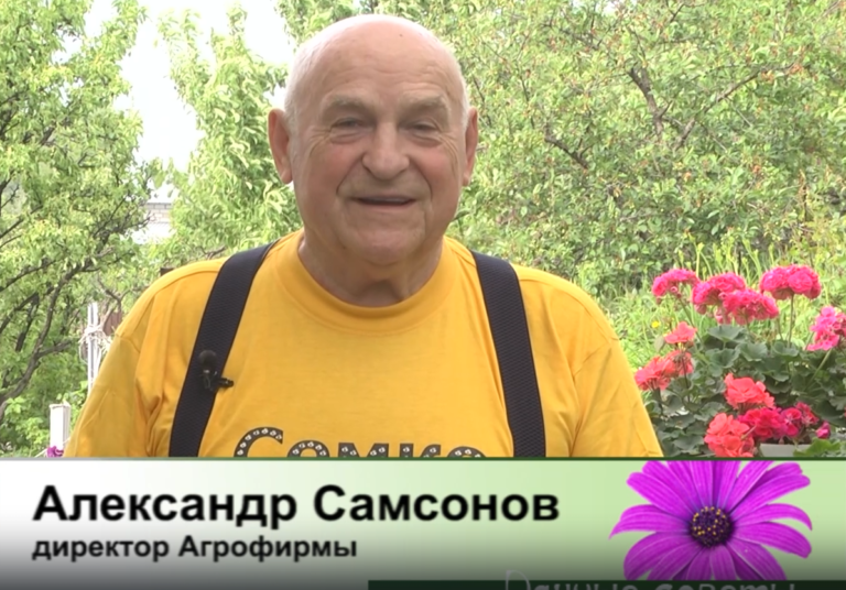 дачные советы от 22.05.2025