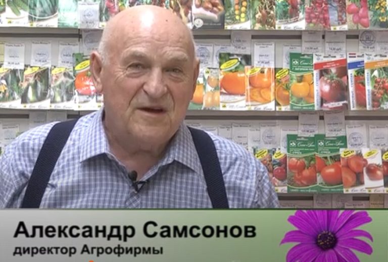 дачные советы от 24.04.2025