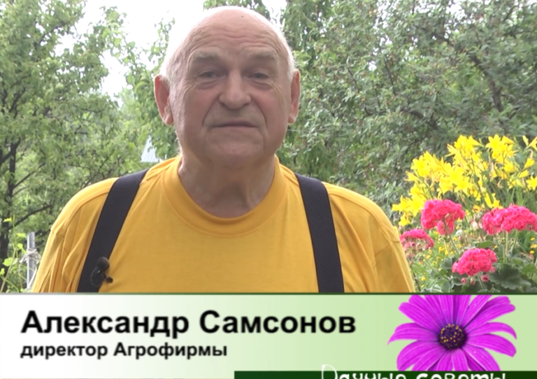 дачные советы от 06.06.2025