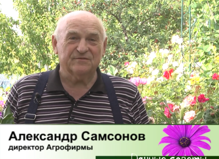 дачные советы от 19.06.2025