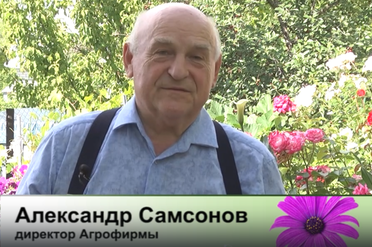 дачные советы от 26.06.2025