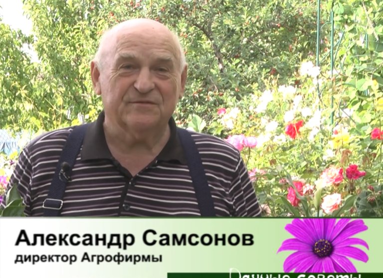 дачные советы от 19.06.2025