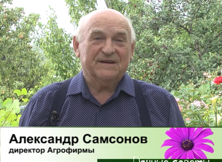 дачные советы от 03.07.2025