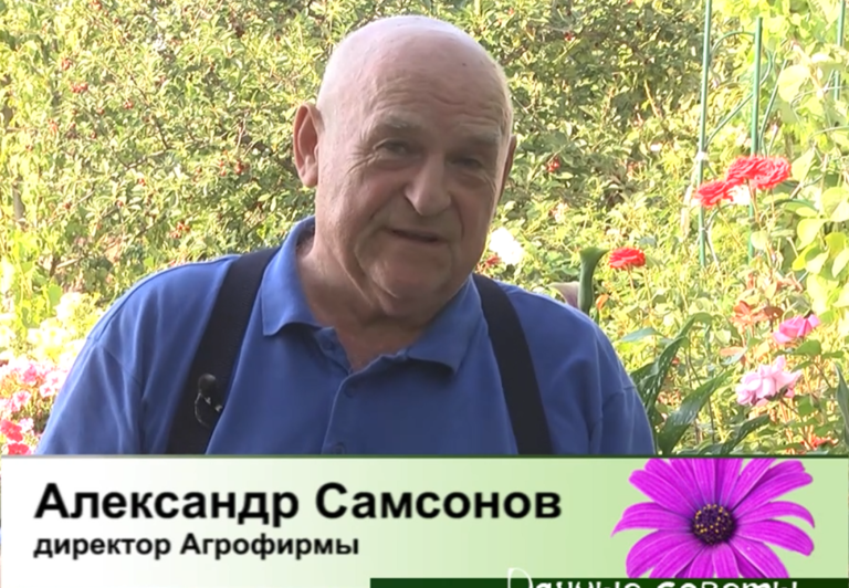 дачные советы от 10.07.2025