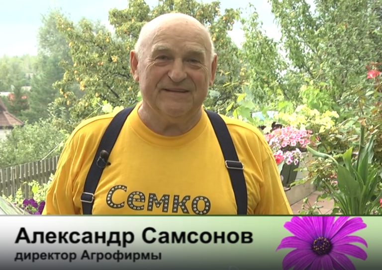 дачные советы от 24.07.2025