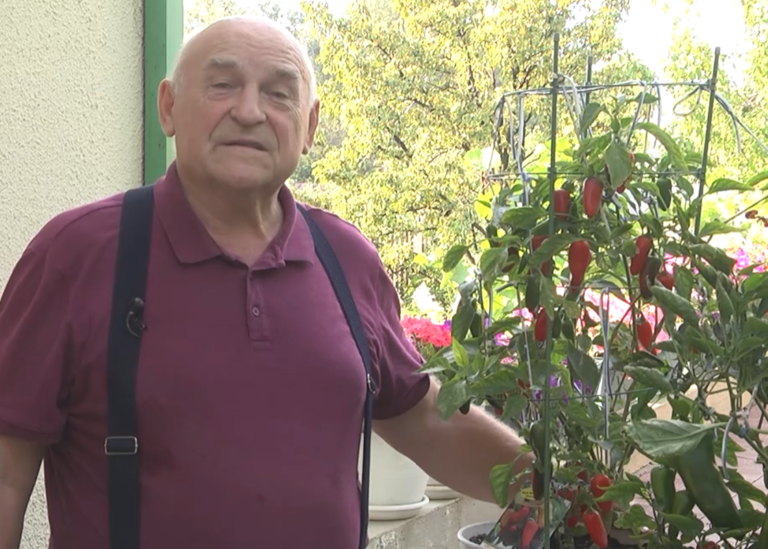 дачные советы от 31.07.2025