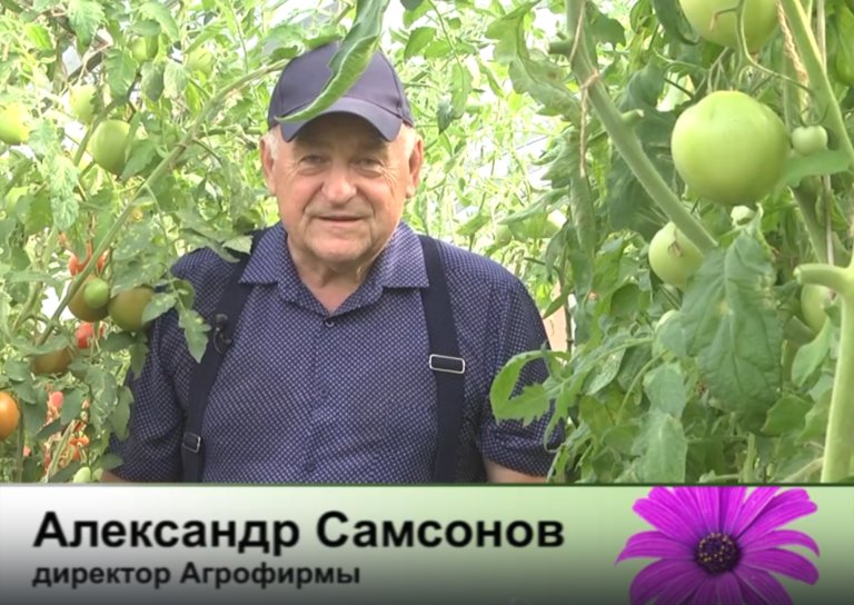 дачные советы от 08.08.2025