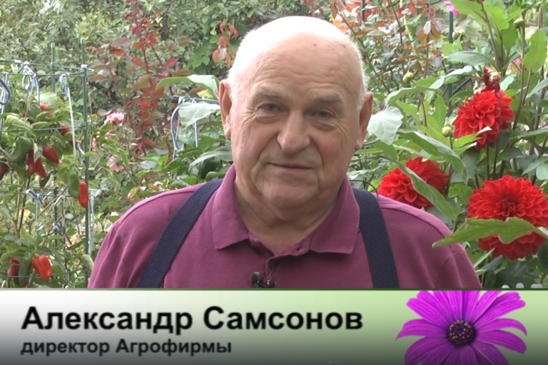 дачные советы от 18.09.2025