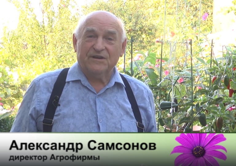 дачные советы от 28.08.2025