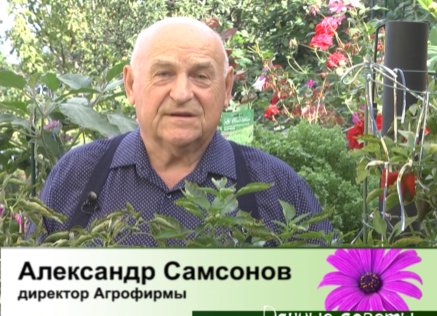 дачные советы от 11.09.2025