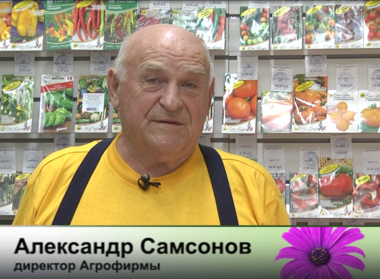 дачные советы от 02.10.2025