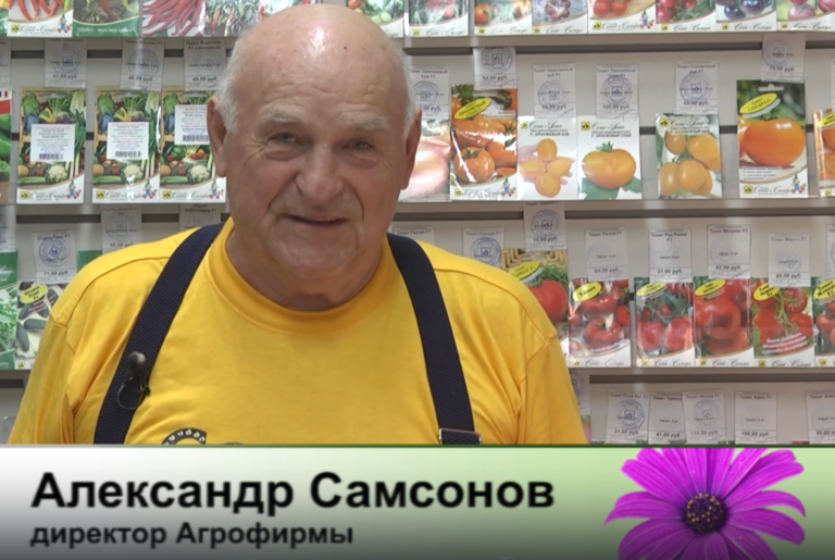 дачные советы от 10.10.2025