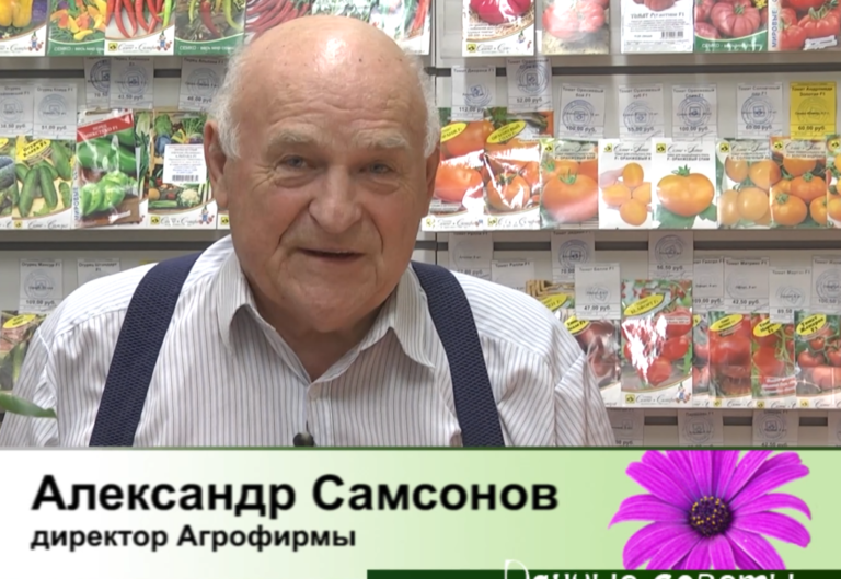 дачные советы от 16.10.2025