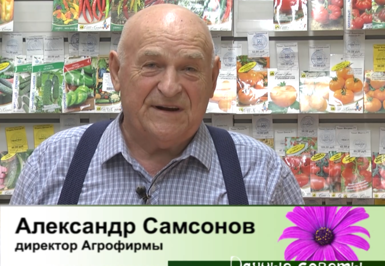 дачные советы от 23.10.2025