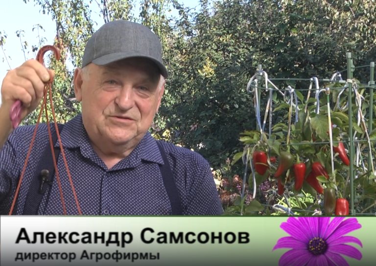 дачные советы от 25.09.2025